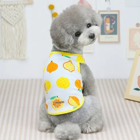 "딩동펫과 함께하는 여름강아지 패션, 귀엽고 스타일리시한 의류 모음!" 1 딩동펫 반려동물 후르츠 나시 티셔츠